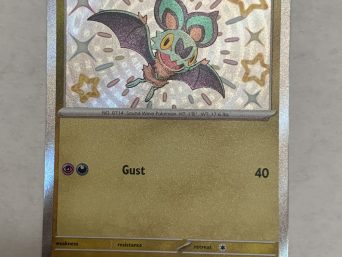 {{brizy_dc_image_alt entityId=