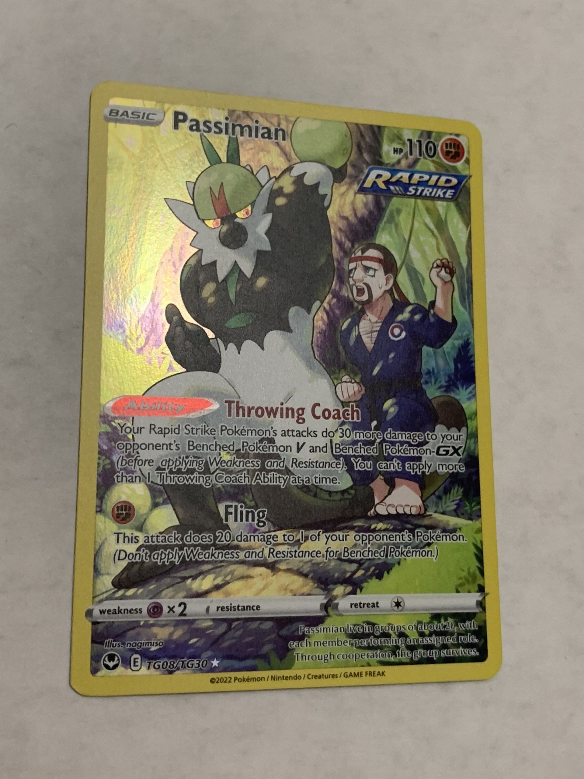 Passimian (Trainer Gallery)
