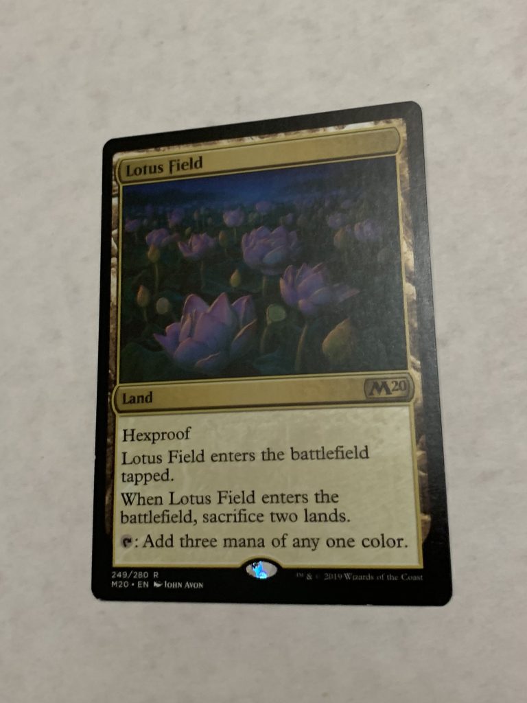 Lotus Field